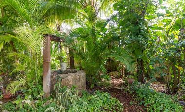 Renta Quinta - Casa Rodeada De Naturaleza Y Desconexion En Poblado San Ignacio Tesip, Yucatan