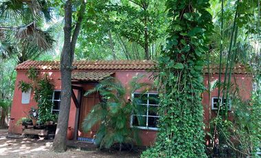Renta Quinta - Casa Rodeada De Naturaleza Y Desconexion En Poblado San Ignacio Tesip, Yucatan
