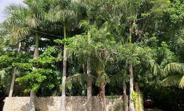 Renta Quinta - Casa Rodeada De Naturaleza Y Desconexion En Poblado San Ignacio Tesip, Yucatan