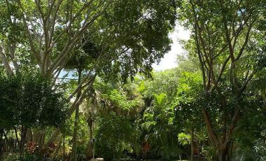 Renta Quinta - Casa Rodeada De Naturaleza Y Desconexion En Poblado San Ignacio Tesip, Yucatan
