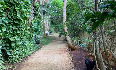 Renta Quinta - Casa Rodeada De Naturaleza Y Desconexion En Poblado San Ignacio Tesip, Yucatan
