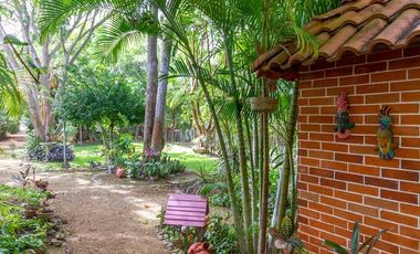 Renta Quinta - Casa Rodeada De Naturaleza Y Desconexion En Poblado San Ignacio Tesip, Yucatan