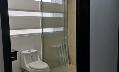 C. Ricardo Flores Magón, San Jose, 50210 San Mateo Otzacatipan, Méx.