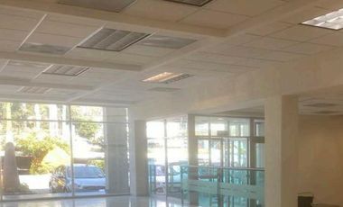 LOCAL RENTA EN PLAZA AV. DOMINGO DIEZ