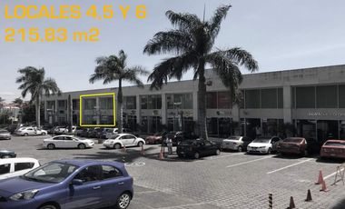LOCAL RENTA EN PLAZA AV. DOMINGO DIEZ