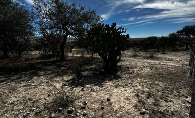 Terreno en Renta sobre carretera libramiento a Calvillo, Aguascalientes.