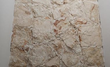 Casa en Renta en norte de Mérida yuc.