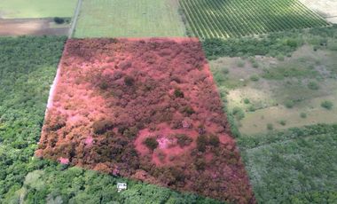 TERRENO CAMPESTRE EN VENTA CADEREYTA N.l