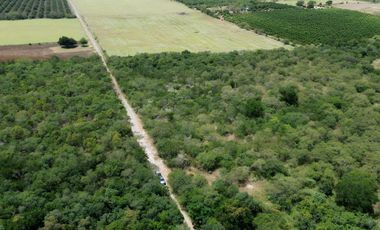 TERRENO CAMPESTRE EN VENTA CADEREYTA N.l