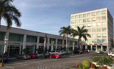 OFICINA EN RENTA AV. DOMINGO DIEZ