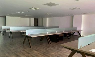 OFICINA EN RENTA AV. DOMINGO DIEZ