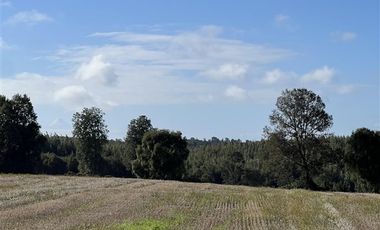 Agrícola en Venta en 88 hectáreas Agrícolas, a 25 minutos de Purranque y Ruta 5 sur