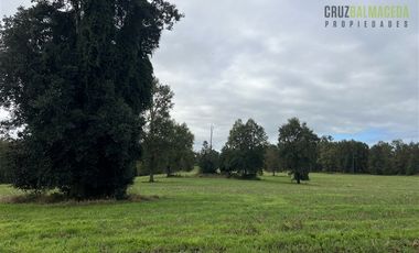 Agrícola en Venta en 88 hectáreas Agrícolas, a 25 minutos de Purranque y Ruta 5 sur