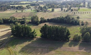 Agrícola en Venta en 88 hectáreas Agrícolas, a 25 minutos de Purranque y Ruta 5 sur