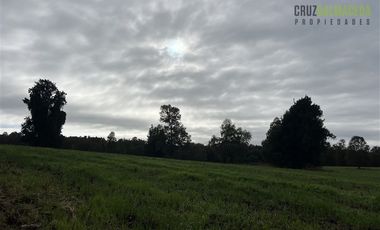 Agrícola en Venta en 88 hectáreas Agrícolas, a 25 minutos de Purranque y Ruta 5 sur
