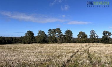 Agrícola en Venta en 88 hectáreas Agrícolas, a 25 minutos de Purranque y Ruta 5 sur
