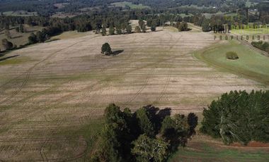 Agrícola en Venta en 88 hectáreas Agrícolas, a 25 minutos de Purranque y Ruta 5 sur