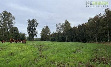 Agrícola en Venta en 88 hectáreas Agrícolas, a 25 minutos de Purranque y Ruta 5 sur