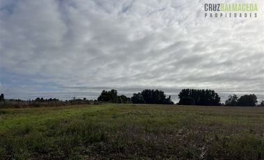 Agrícola en Venta en 88 hectáreas Agrícolas, a 25 minutos de Purranque y Ruta 5 sur