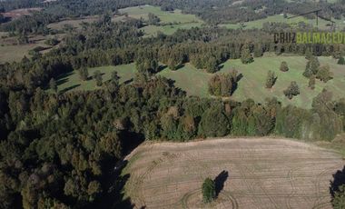 Agrícola en Venta en 88 hectáreas Agrícolas, a 25 minutos de Purranque y Ruta 5 sur