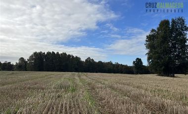 Agrícola en Venta en 88 hectáreas Agrícolas, a 25 minutos de Purranque y Ruta 5 sur