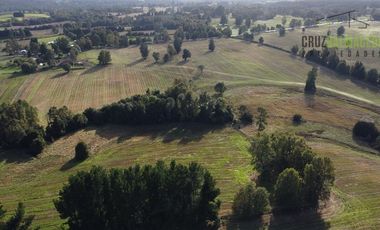 Agrícola en Venta en 88 hectáreas Agrícolas, a 25 minutos de Purranque y Ruta 5 sur
