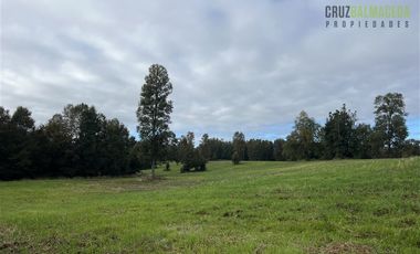 Agrícola en Venta en 88 hectáreas Agrícolas, a 25 minutos de Purranque y Ruta 5 sur