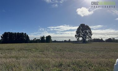 Agrícola en Venta en 88 hectáreas Agrícolas, a 25 minutos de Purranque y Ruta 5 sur