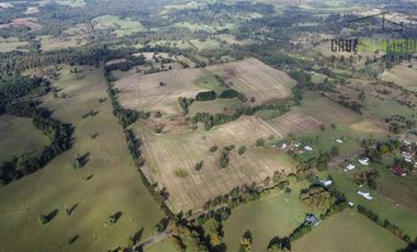 Agrícola en Venta en 88 hectáreas Agrícolas, a 25 minutos de Purranque y Ruta 5 sur