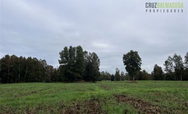 Agrícola en Venta en 88 hectáreas Agrícolas, a 25 minutos de Purranque y Ruta 5 sur