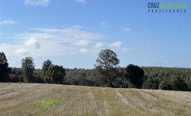 Agrícola en Venta en 88 hectáreas Agrícolas, a 25 minutos de Purranque y Ruta 5 sur
