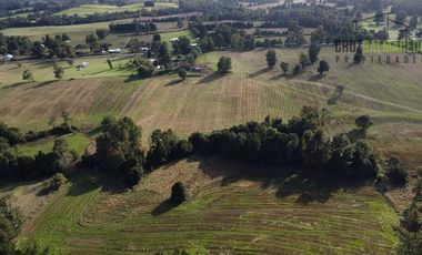 Agrícola en Venta en 88 hectáreas Agrícolas, a 25 minutos de Purranque y Ruta 5 sur