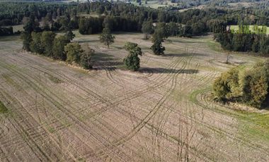 Agrícola en Venta en 88 hectáreas Agrícolas, a 25 minutos de Purranque y Ruta 5 sur