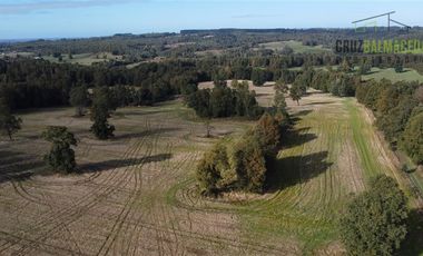 Agrícola en Venta en 88 hectáreas Agrícolas, a 25 minutos de Purranque y Ruta 5 sur