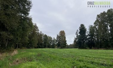 Agrícola en Venta en 88 hectáreas Agrícolas, a 25 minutos de Purranque y Ruta 5 sur