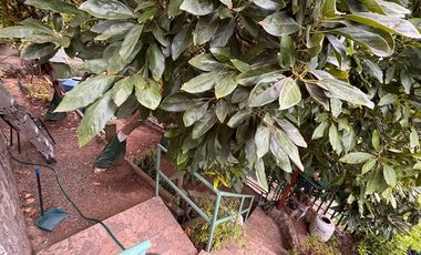 Casa en Arriendo en Jardin Del Mar