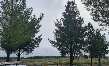 Parcela en Venta en SECTOR LOS DIAMANTES