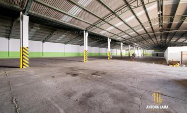 Bodega Industrial en Camino a La Resurrección, Puebla