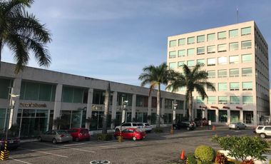 OFICINA EN RENTA AV. DOMINGO DIEZ