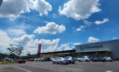 Local en Renta en Centro Comercial Andador en Avenida principal mucha afluencia