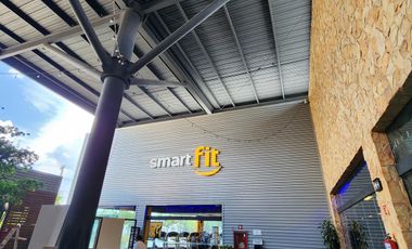 Local en Renta en Centro Comercial Andador en Avenida principal mucha afluencia