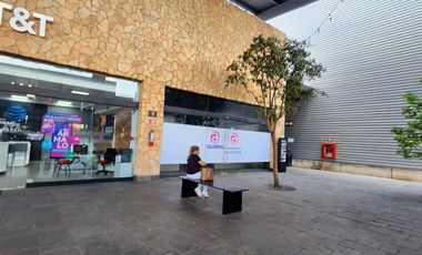 Local en Renta en Centro Comercial Andador en Avenida principal mucha afluencia