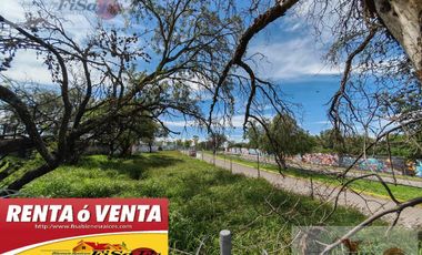 TERRENO EN VENTA Y/O RENTA