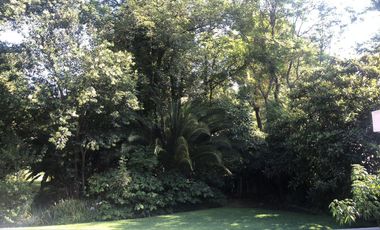 Loft Amueblado en Ciprés de Zavaleta