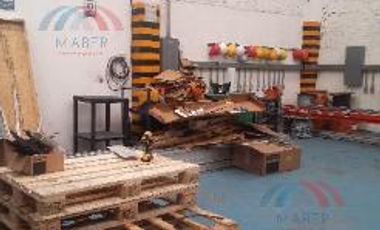 Nave Industrial - San Rafael Oriente