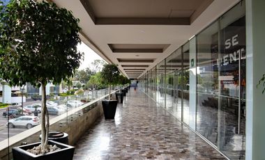 Local Comercial en Renta en Santa Cruz Buenavista Norte Puebla