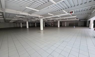 Edificio Comercial - Cuernavaca Centro