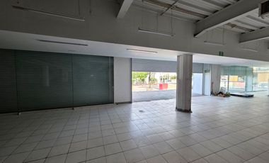 Edificio Comercial - Cuernavaca Centro