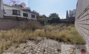 Terreno - Centro