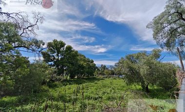 TERRENO EN RENTA Y/O VENTA BLVD ALFONSO LOPEZ PATIÑO